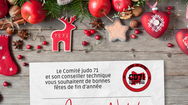 Bonnes Fêtes Fin d'Année 2025