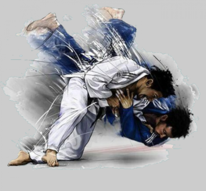 Image de l'actu '70 ans de Judo à MACON'