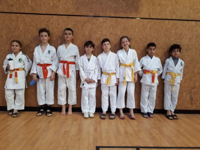 Image de l'actu 'Tournoi des Petits Tigres (2ème phase)'
