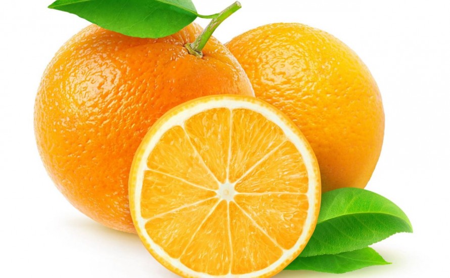 Vente d'oranges et clémentines bio