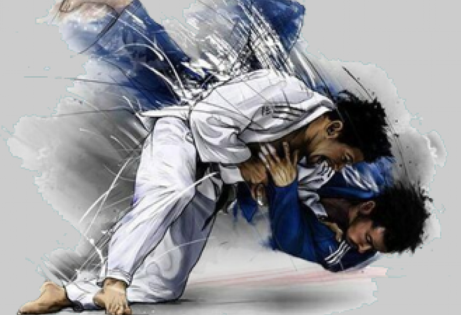 70 ans de Judo à MACON