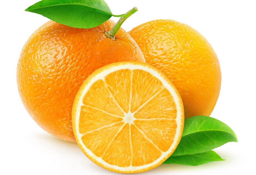 Vente d'oranges et clémentines bio